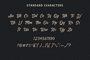Hadrey - Vintage Bold Script, a Sans Serif Font by Vultype Co. (Thumbnail 11 of 12)