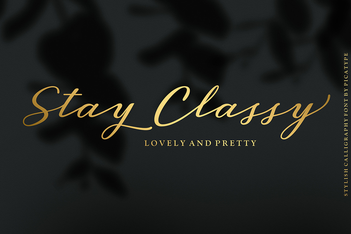 Klibers Script, a Script Font by Picatype Studio (Photo 4 of 8)