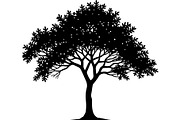 Elegant Tree Silhouette Clipart Set, an Object Graphic by jahid234 (Thumbnail 2 of 7)