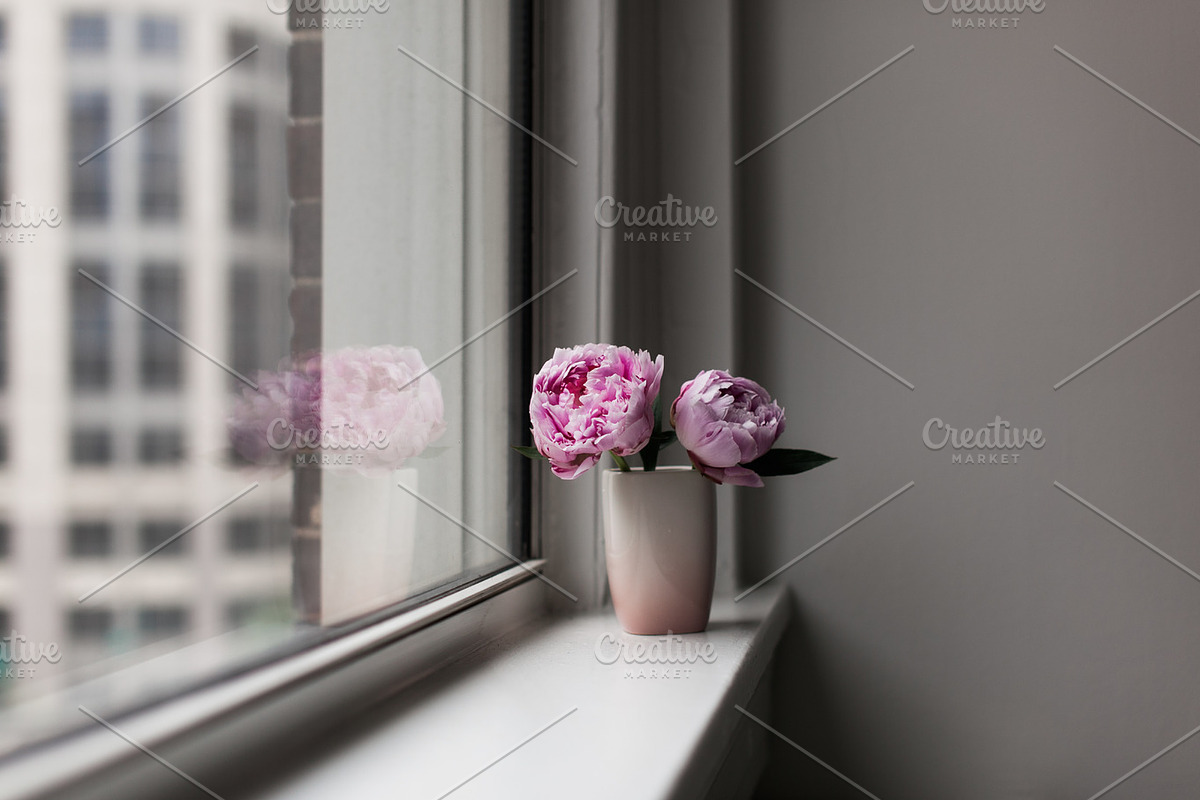 Pink Peony Bundle + 3 Bonus Images, a Nature Photo by Light & Grace (Photo 8 of 8)