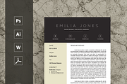 Professional Resume Template / CV te, a Resume Template by MH Design Template (Thumbnail 4 of 4)