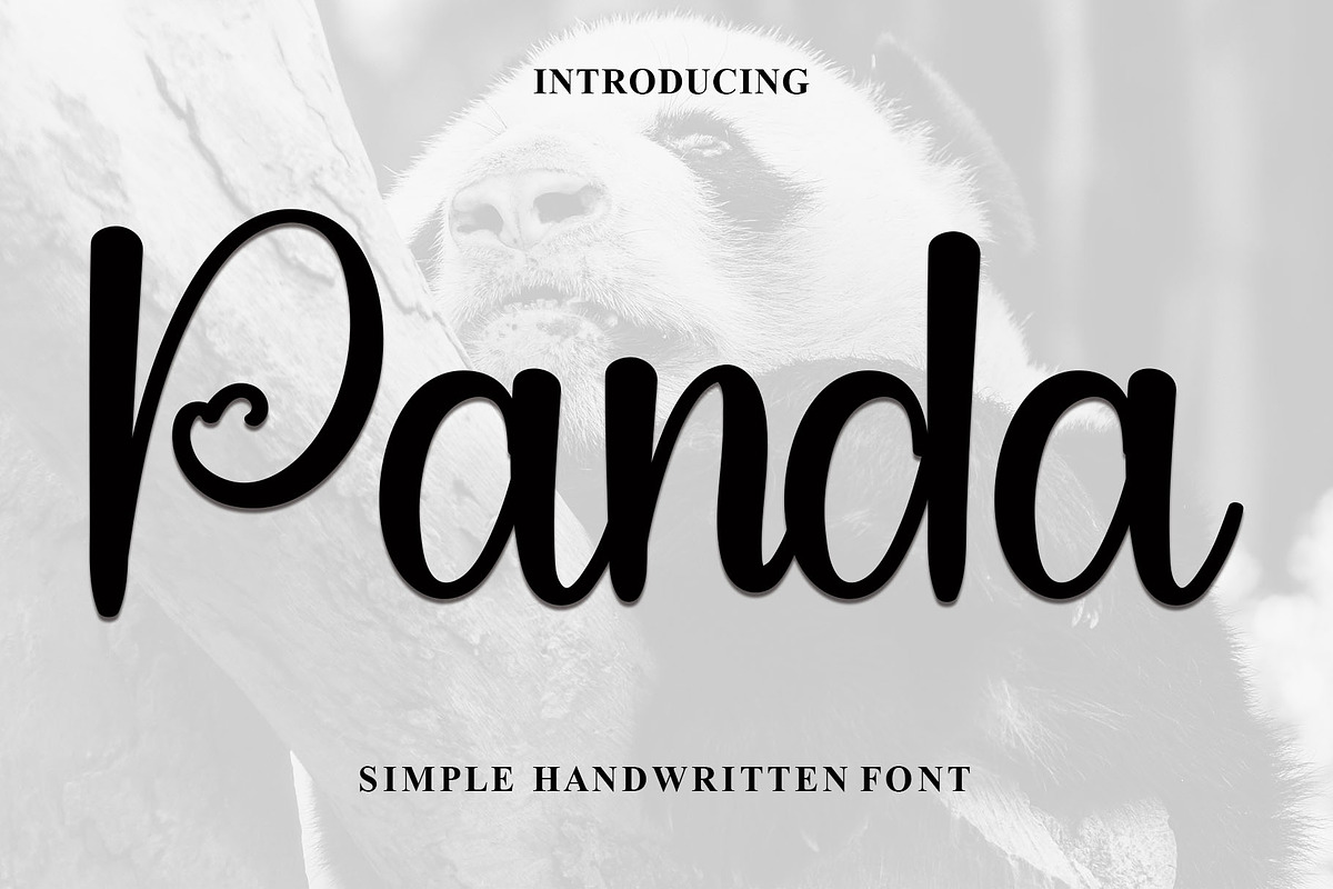 Panda, a Handwritten Font by FreshTypeINK (Photo 1 of 5)