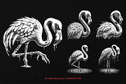10 Bundle Dark Art Flamingo Bird, an Illustration by Morspective (Thumbnail 5 of 7)