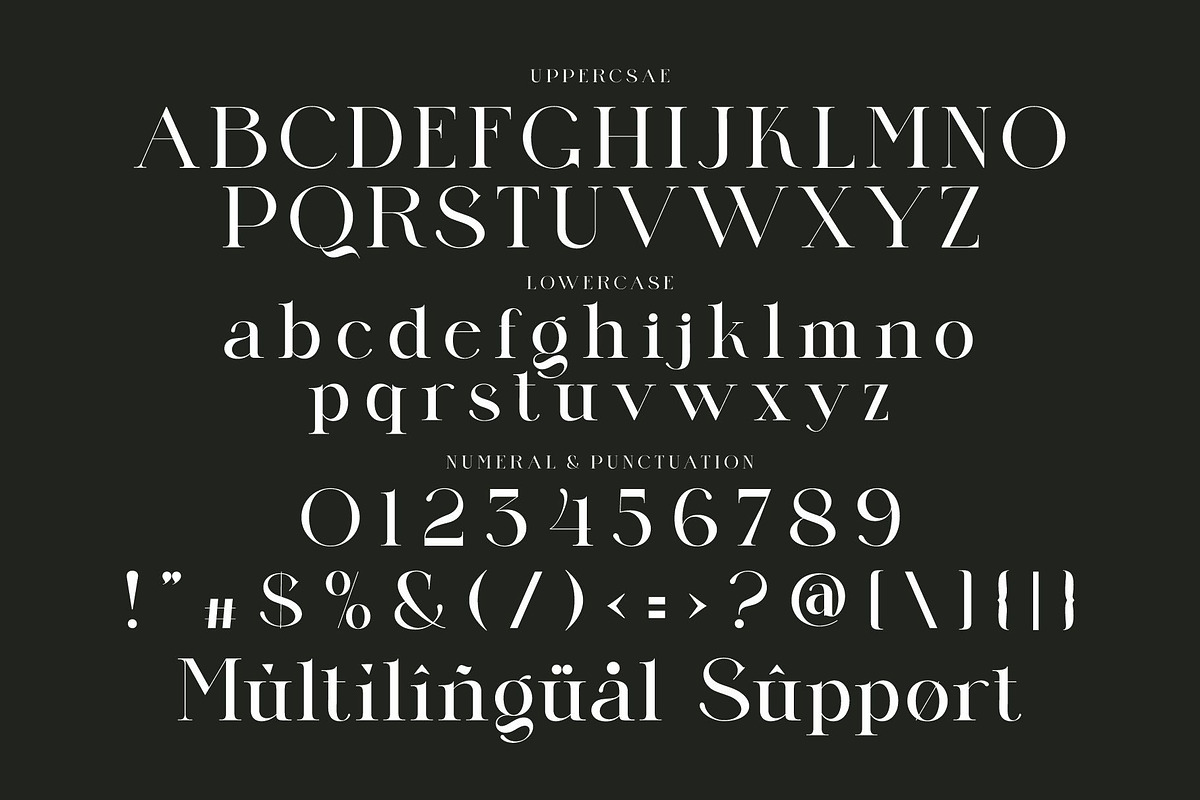 Qilbrid Modern Ligature Serif, a Serif Font by Alfinart (Photo 9 of 10)