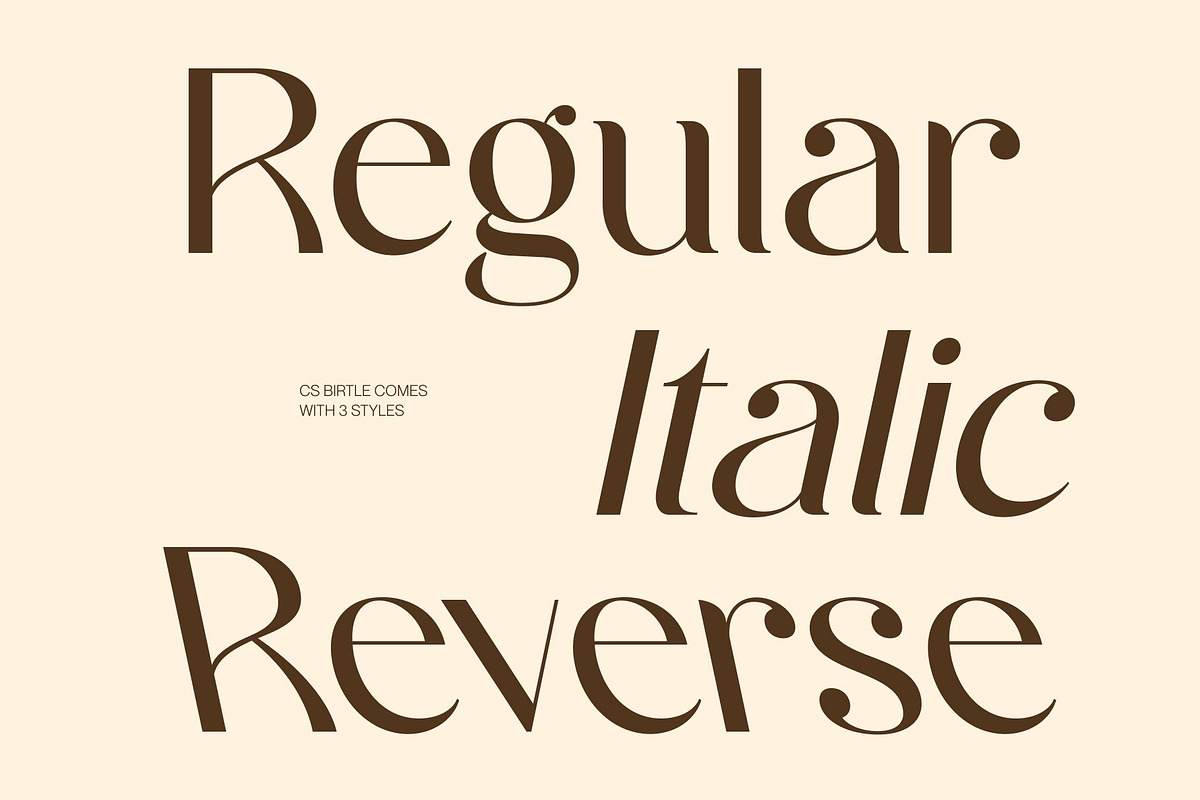 CS Birtle – Classy Sans Serif, a Sans Serif Font by Craft Supply Co. (Photo 3 of 8)