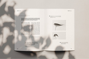 Hezel Nut - Magazine Template