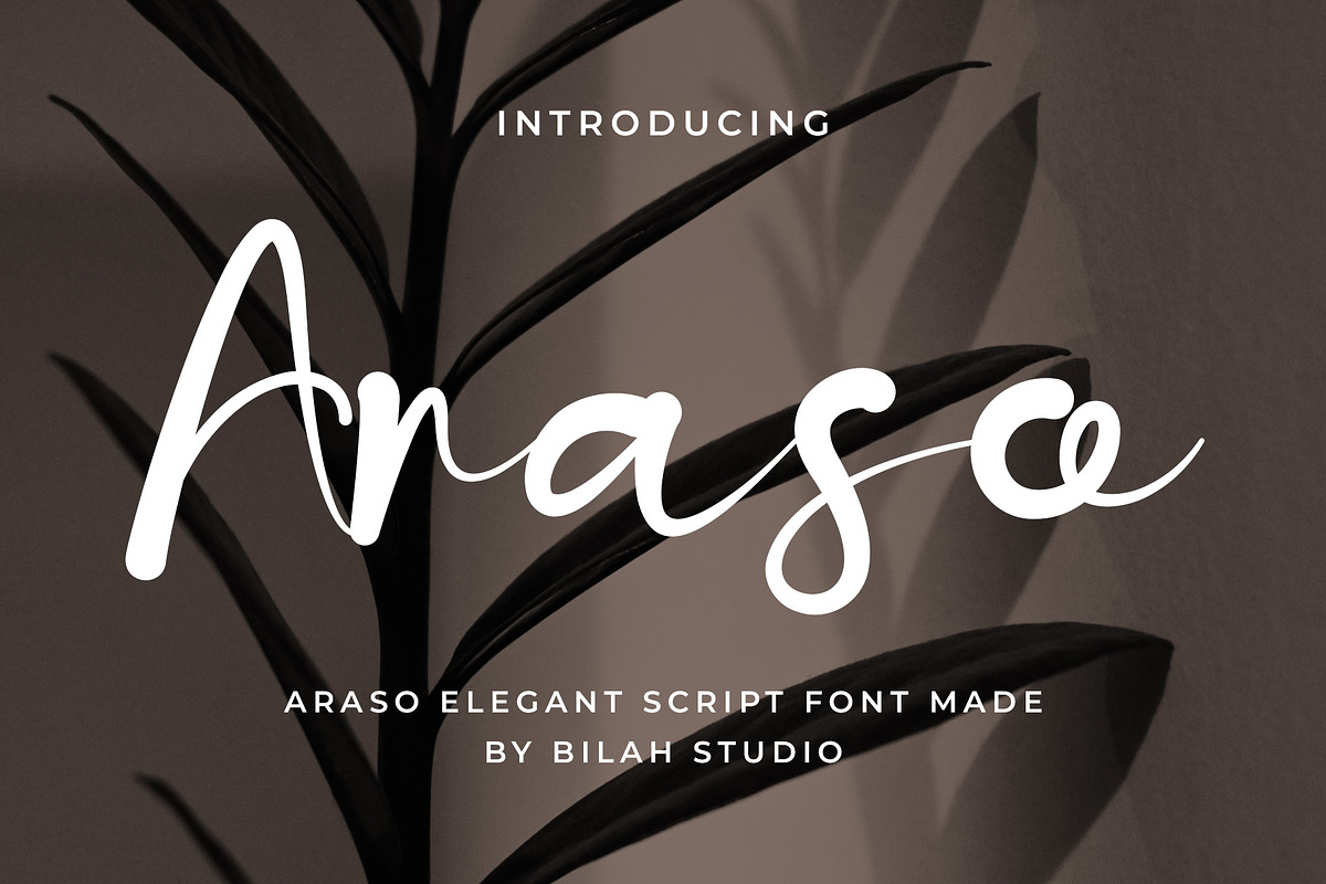 Araso Elegant Script Font, a Script Font by Bilahstudio (Photo 1 of 10)