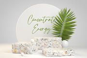 Tropical Country - Handwritten Font, a Script Font by Sronstudio (Thumbnail 9 of 10)