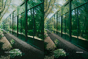 Fuji FP 100C II, a Preset Add-On by colorituals (Thumbnail 6 of 8)