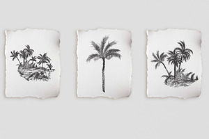 Palm Trees Vector Clip Art Set