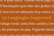 Valeson, a Serif Font by insigne (Thumbnail 4 of 5)