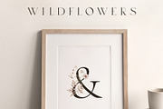 Wildflowers Watercolor Wild Botany, a Decorative Illustration by Kreker Kate (Thumbnail 5 of 11)