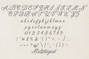 Sacoley - Script Font, a Script Font by NDNL Studio (Thumbnail 9 of 10)