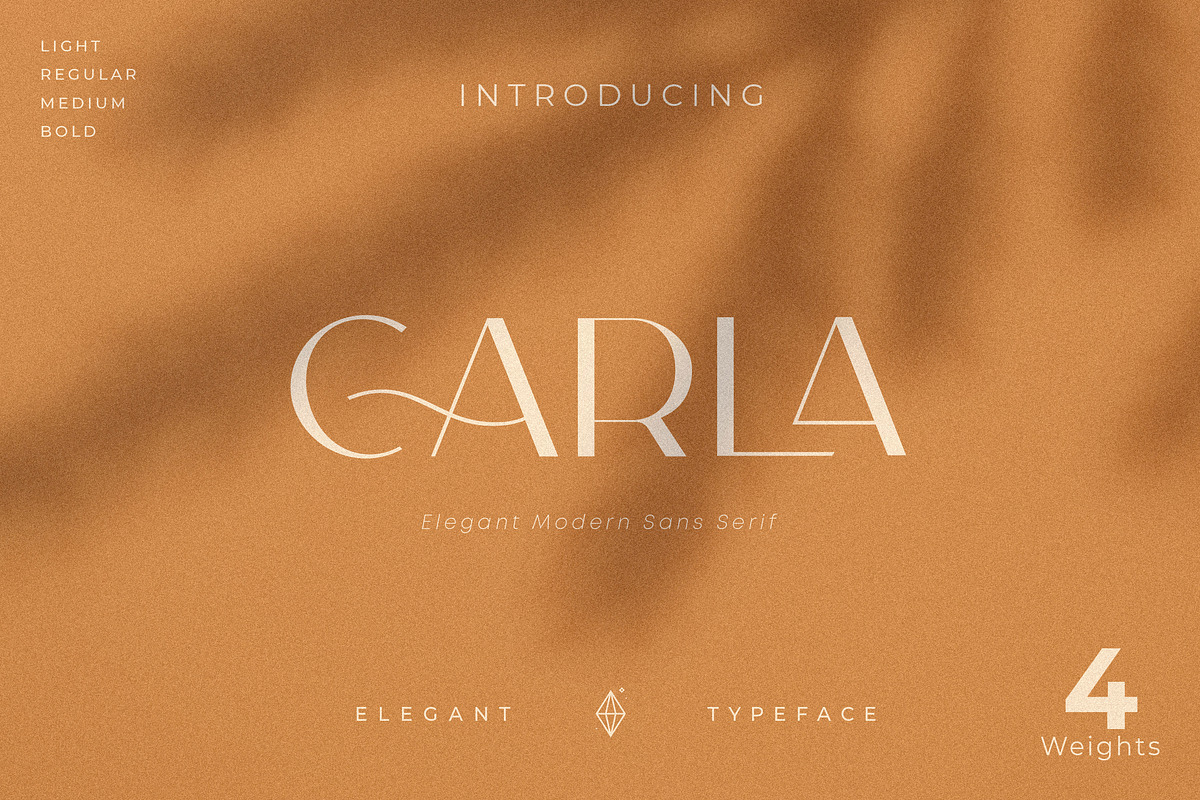 Carla Sans - Elegant Typeface, a Sans Serif Font by Creative Corner (Photo 1 of 26)
