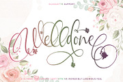 Welldone, a Script Font by Letterara (Thumbnail 1 of 11)