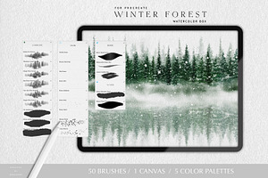 Winter Forest Box For Procreate