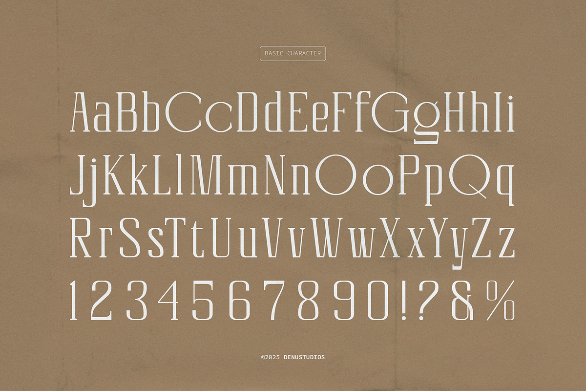 Celvio Monase | New Display Serif, a Serif Font by Denustudios (Photo 11 of 12)