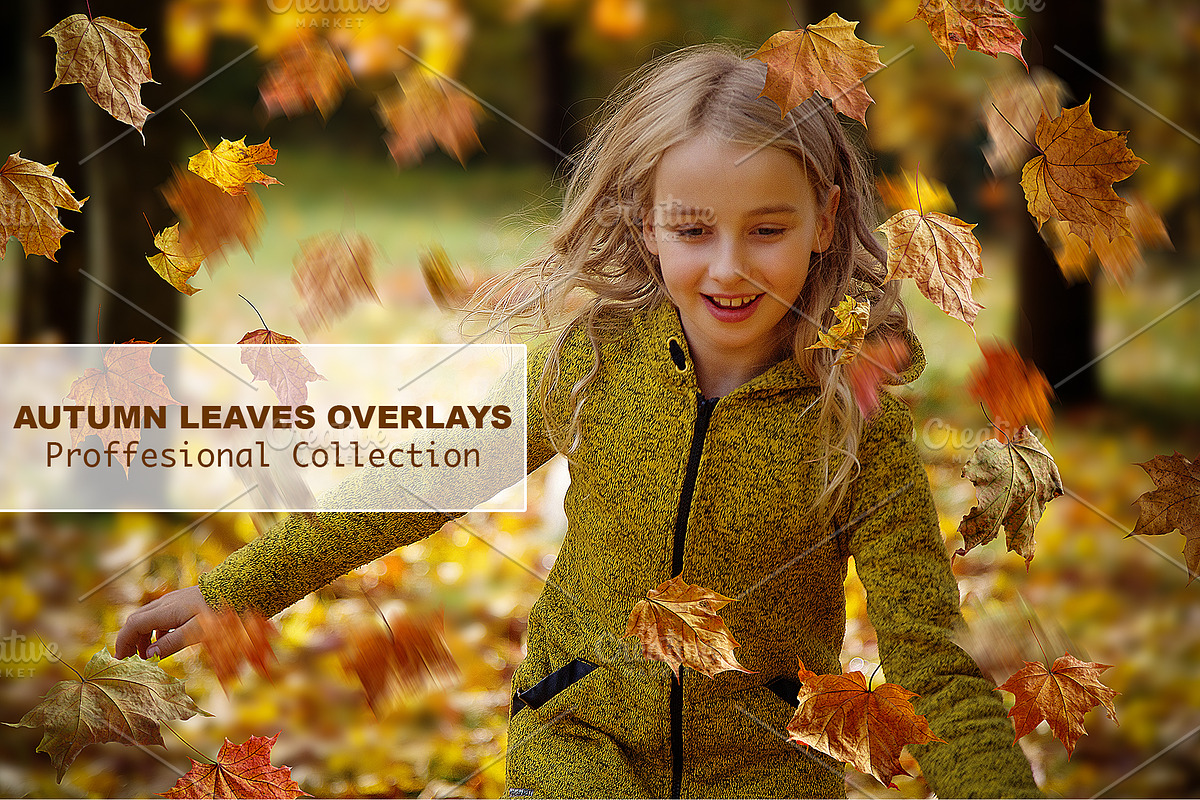 Leaves Overlays