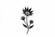 Black Floral Silhouette Set, an Illustration by balal (Thumbnail 20 of 21)