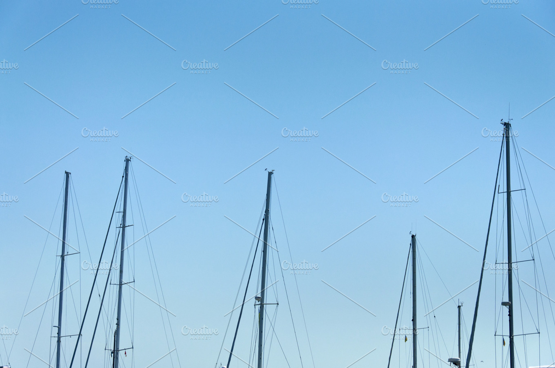 Many Masts