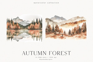 Autumn Forest