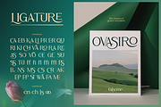 Falsome, a Serif Font by Burntilldead (Thumbnail 4 of 12)