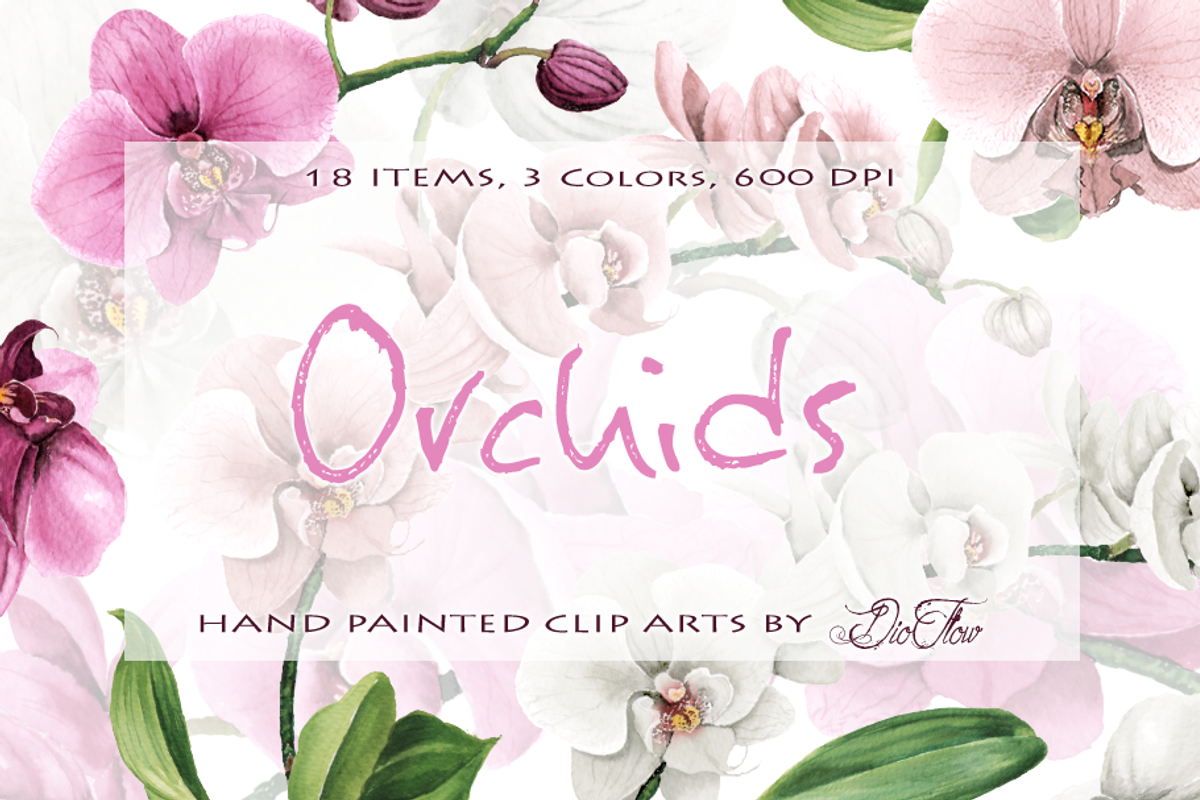 Orchid Watercolor Clip Art, a Decorative Illustration by DioFlow (Photo 1 of 5)
