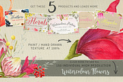 Watercolor Floral Bundle, an Illustration by Ingrid Marais Design (Thumbnail 2 of 8)