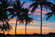 Coco palms at sunrise in miami beach containing sunset, beach, and palm, a Nature Photo by Lucky Photographer (Thumbnail 1 of 2)