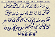 Emotionally Calligraphy Font, a Script Font by 177Studio (Thumbnail 7 of 8)