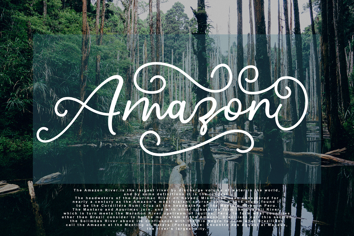 Salahe - a funcy cursive font preview 4
