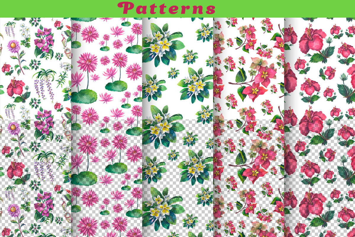 Philippine Native Flowers watercolor, a Decorative Illustration by FITALARTSNEDIGI (Photo 4 of 8)