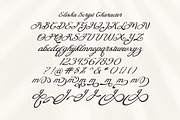 Elisha Script, a Script Font by Gatype (Thumbnail 7 of 7)