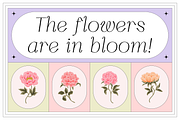 Silkrose - Delicate Display Font, a Sans Serif Font by Artflorara (Thumbnail 8 of 14)