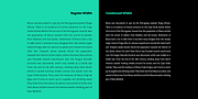Brava Sans, a Sans Serif Font by Rafael Jordan (Thumbnail 5 of 5)