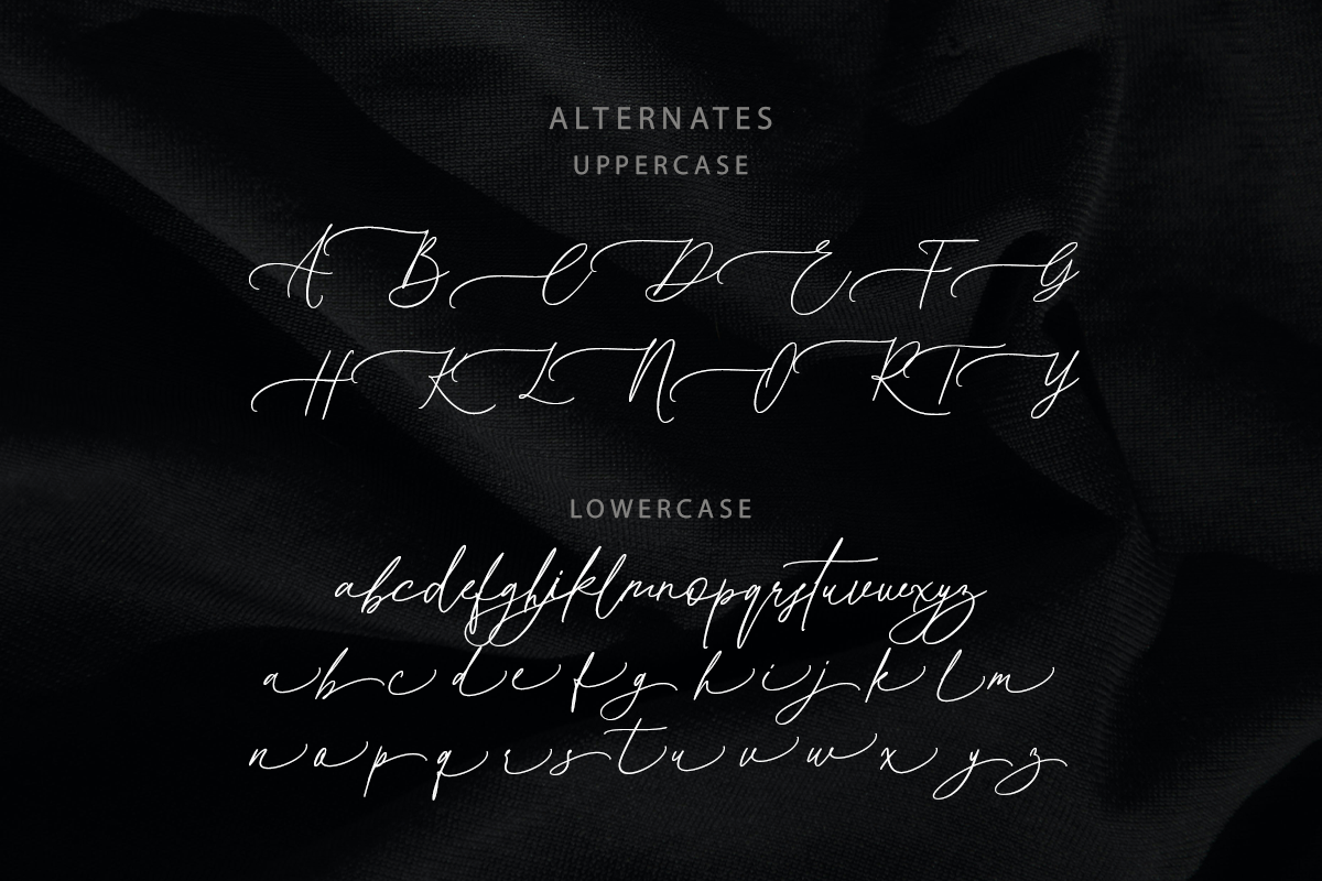 Hillieston Elegant Wedding Font, a Script Font by DzikrulAulia (Photo 9 of 10)