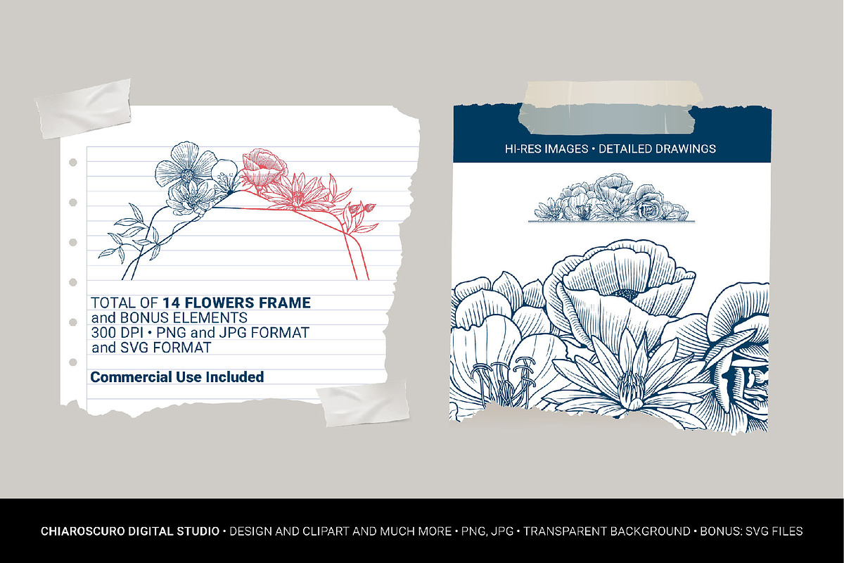 Vintage Vector Flower Frames Set, a Decorative Illustration by Pingebat (Photo 2 of 10)