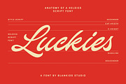 Heldies – Retro Vintage Script Font, a Script Font by Blankids Studio (Thumbnail 3 of 12)