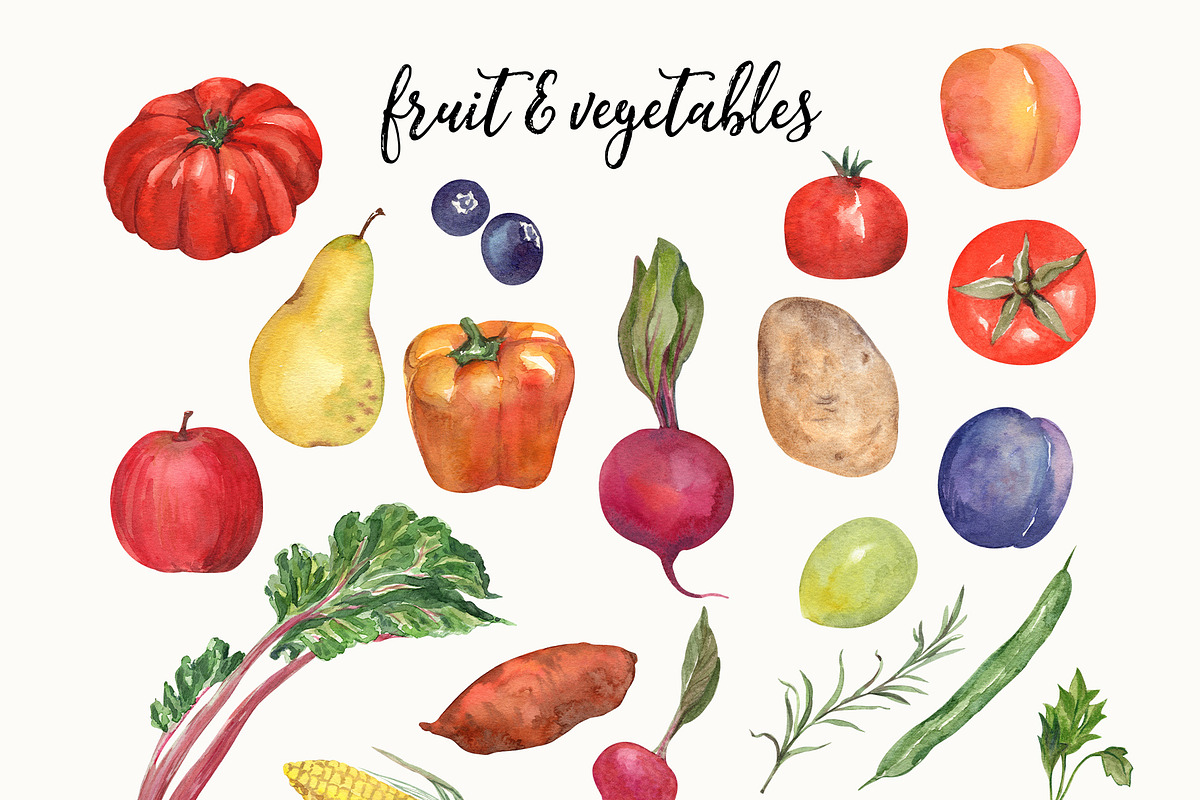 Fresh Off the Market Farm Watercolor, a Food Illustration by Catch the Dream Art (Photo 6 of 12)