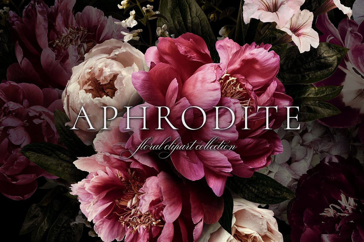 Aphrodite Floral Clip Art Collection, an Object Graphic by Eclectic Anthology (Photo 5 of 13)