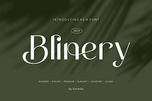 Blinery || Modern Sans Serif Font