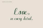 Sylva Belle Modern Calligraphy, a Script Font by Colorsfav (Thumbnail 7 of 10)