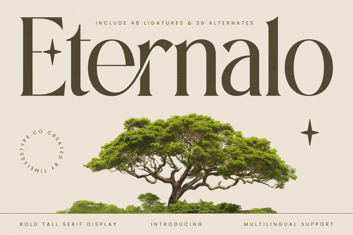 Eternalo Bold Luxury Modern Serif, a Serif Font by timelesstype.co (Photo 1 of 20)