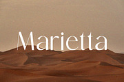 ELEGANCE | Sans Family, a Sans Serif Font by InkwellTypeCo (Thumbnail 12 of 14)