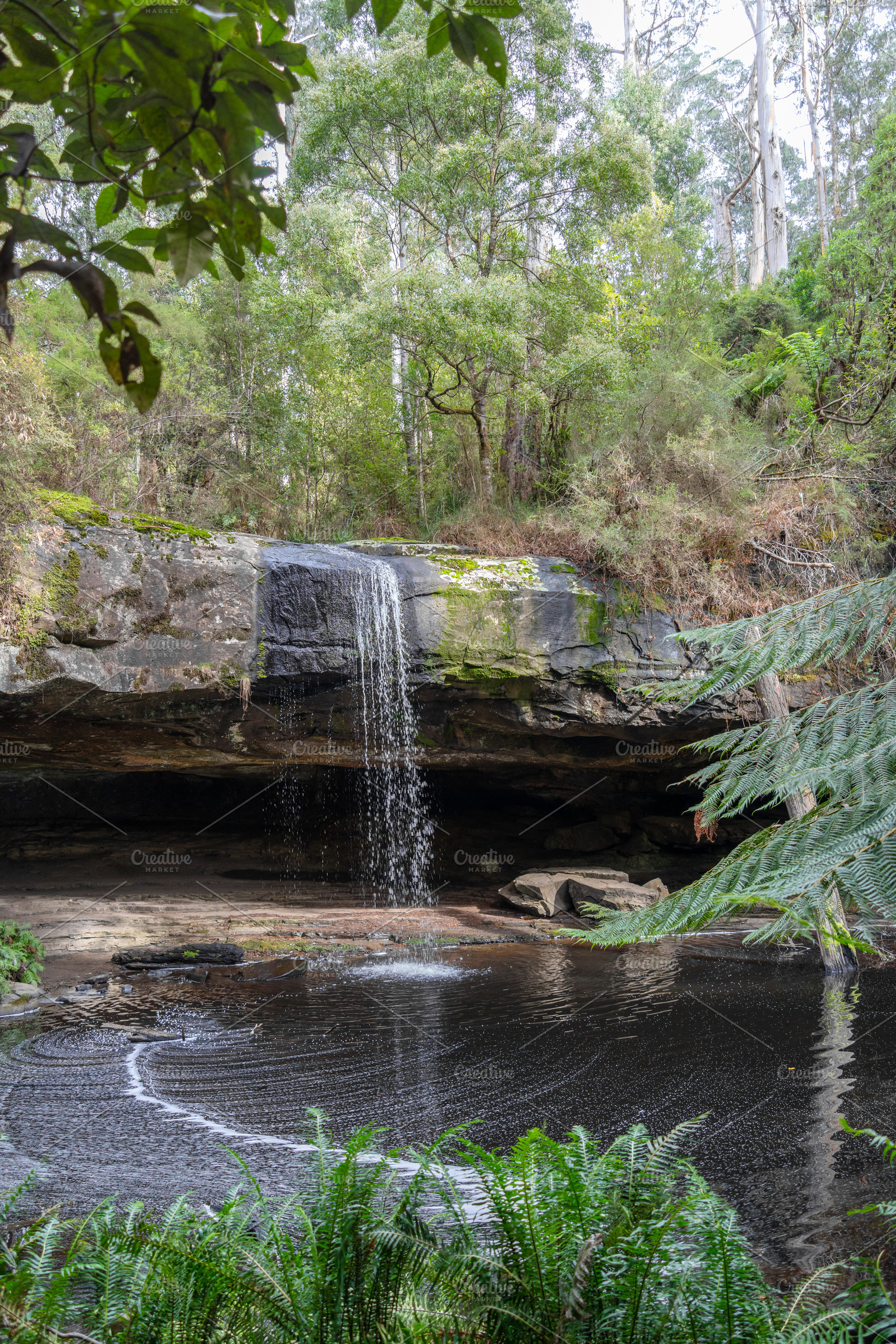 Kalimna Falls along Cumberland River trek, Great Ocean Road, Aus, a Nature Photo by GoodGoods