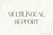 Aretha - Modern Serif Font, a Serif Font by Aqeel_Art (Thumbnail 8 of 12)