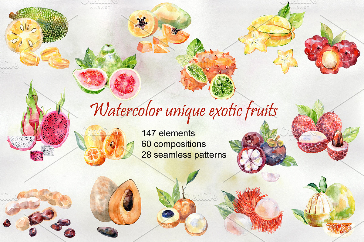 Watercolor tropical fruits., an Illustration by TaPilipa (Photo 1 of 39)