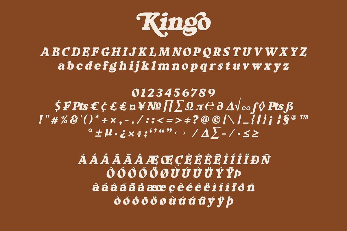Kingo, a Serif Font by Omotu Studio (Photo 17 of 19)