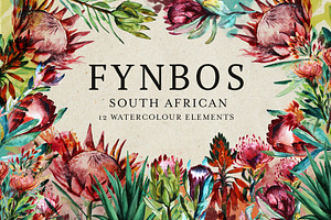 Watercolor Fynbos Flowers