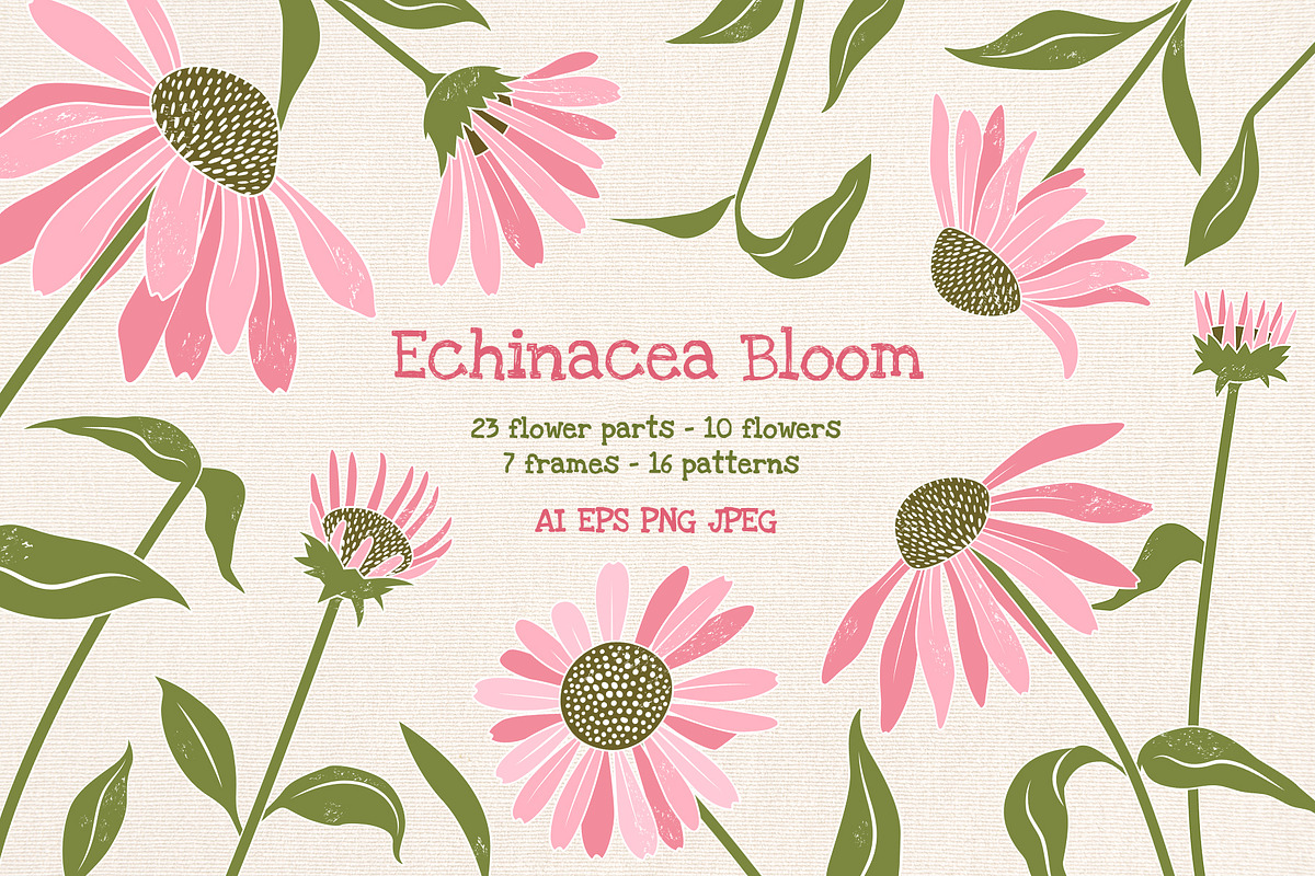 Coneflower Bloom Vector Clipart, an Illustration by Hanna's ArtLab (Photo 1 of 9)